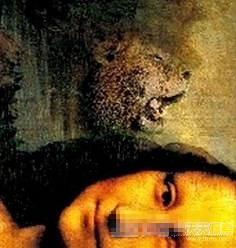 《蒙娜丽莎》之谜：不可思议暗藏四种动物