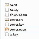 OpenVPN_Server配置文件截图