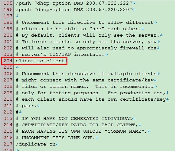 OpenVPN_Server配置文件截图3