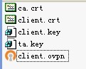 OpenVPN_Client配置文件截图