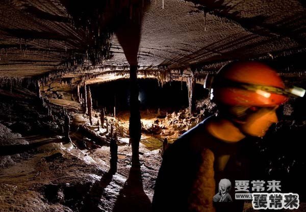 令人毛骨悚然的是，这漆黑的山洞居然是一个深栖昆虫生态系统，他们从来没见过光