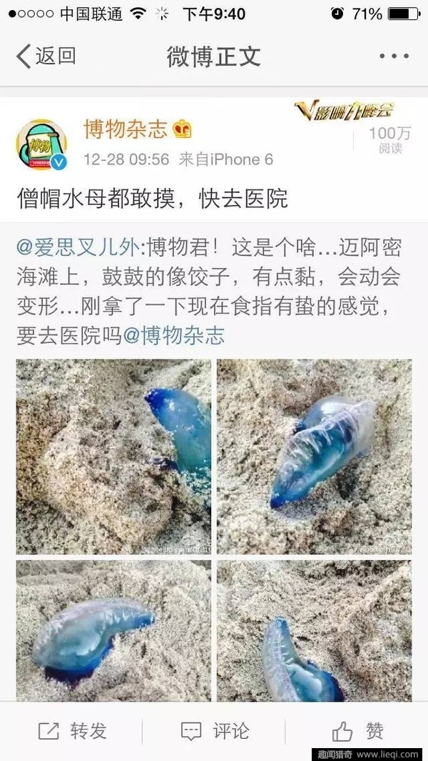 如果在海滩看到它，立刻跑！千万别手贱(5)