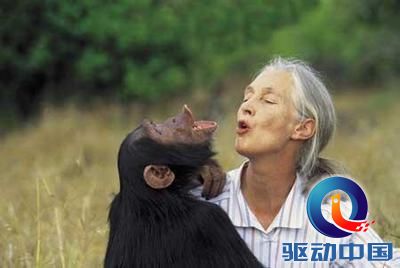 宇宙十大未解谜团：生命如何起源?